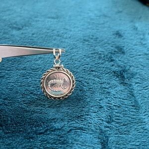 Fine silver, substantial, two-sided Scorpio pendant